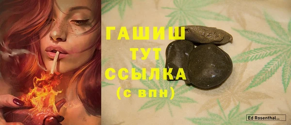 гашик Дмитровск