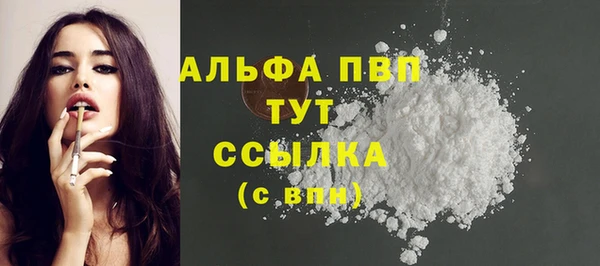 гашик Дмитровск