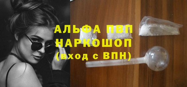 гашик Дмитровск