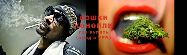 винт Дмитров