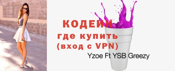 гашик Дмитровск