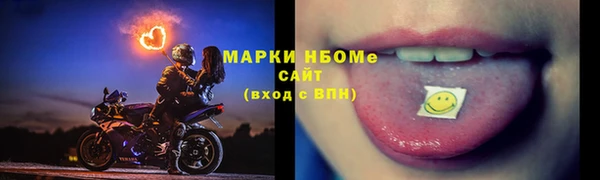гашик Дмитровск