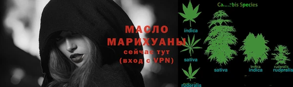 винт Дмитров