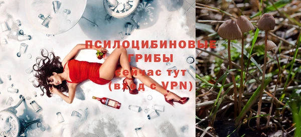 гашик Дмитровск
