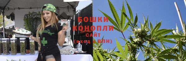 винт Дмитров
